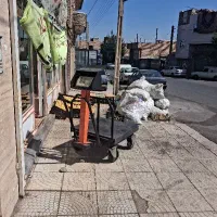 خرید سیب زیر درختی