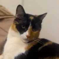 آینده