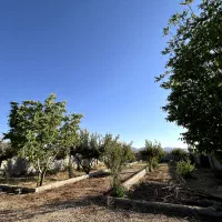 فروش-باغشهری-دالین