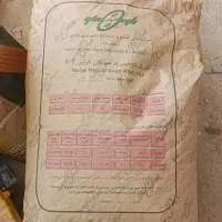 بذر ذرت 704
