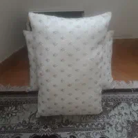 بالش
