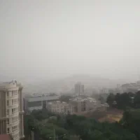 همخونه