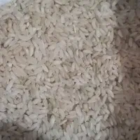 برنج چمپه چیتاب