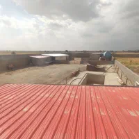 اجاره دامداری صنعتی ۲۰۰ راسی در محور نیشابور-مشهد