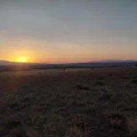 فروش باغ معاوضه باخانه و ماشین  پول