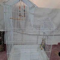 قفس پرنده