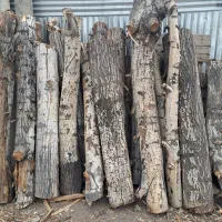 خرید چوب ، هرس و برشکاری