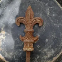 طبق عکس