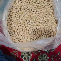 فروش ۴ تن نخود درجه ۱ و ممتاز