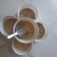 دانه و لوازم پرنده