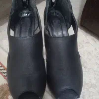 کفش مجلسی