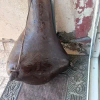 هیزه تازه درست شده