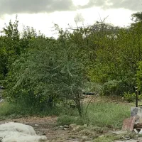 نگهبان باغ