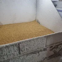 با سلام پزندگی انواع آجیل جات(شکفته)