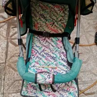 کالسکه عصائی وکریر
