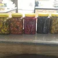 ترشی|خوردنی و آشامیدنی|کرج, محمود آباد|دیوار
