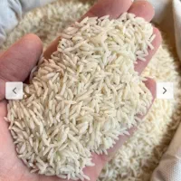 برنج بوستان هاشمی کیفیت عالی به شرط