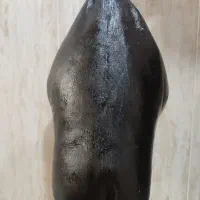 هیزه صحیح و سالم