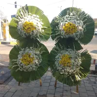 استخدام کارگرماهردرگل فروشی