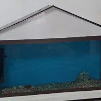 آکواریوم شیشه ای کلبه ای شکل