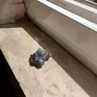 شهاب سنگ