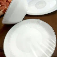 ۲ دست سرویس غذاخوری آرکوپال