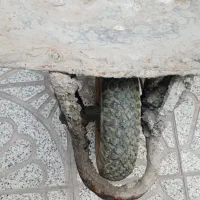 فروش فرغان