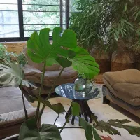 210-متر-تکواحد-نوساز