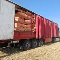 فروش کاه گندم دیم کرمانشاه به قیمت روز