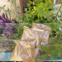 دمنوش گیاهی لاغری