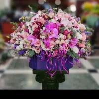 گل به قیمت بازار گل
