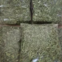 فروش عرق نعناع،عرق کاکتی،عرق رازیانه و نعناع خشک