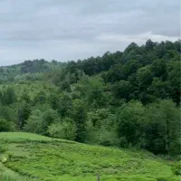 زمین-چماچا-304متر-زمین-مناسب-ویلا-سازی