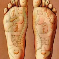 حجامت در منزل .در سطح شهر قروه و دهگلان