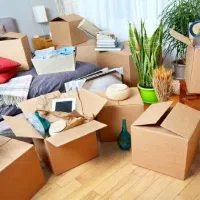 نیروی کار هستم جابجایی بار وغیره گرمدره