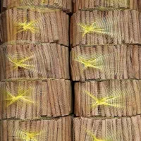 دارچین قلم ،سیگاری و زنجبیل
