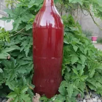 انجیرخشک .شیره انگور.رب انار.آبغوره.توت خشک