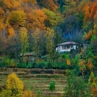 علف زنی