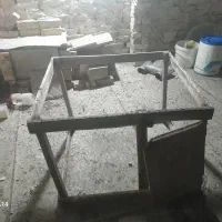 کفتر|پرنده|تربت جام, رضاآباد|دیوار