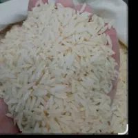 10 کیلو برنج درشت هاشمی محصول تازه ۴۴۰ حمیدیان