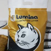خاک گربه لومینا