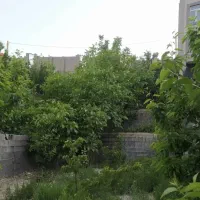 زمین لواسان