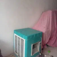 کولرابی