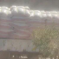 فروش کاه گندم تحویل در دامداری