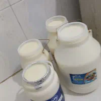 لبنیات سنتی