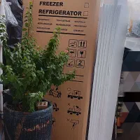 دو عدد کارتن بخچال و فریزر و تلوزیون ۶۵ ال جی