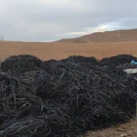 خرید نوارتیپ