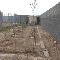 550متر-متراژ-باغ