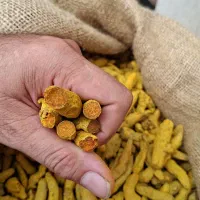 پخش عطاری وخشکبار
