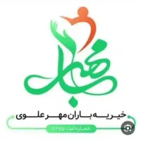 نیرو داوطلب و جهادی